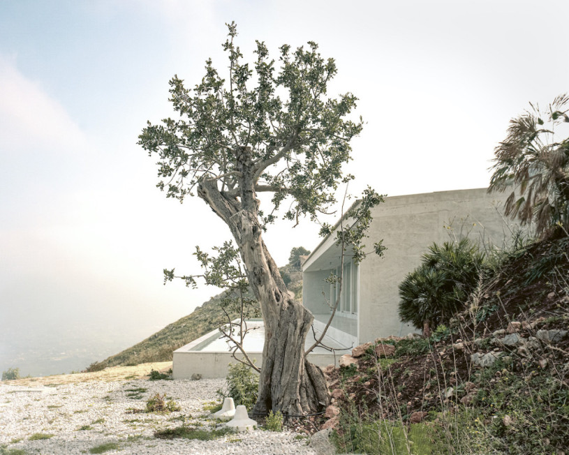 peluche74 cemento villa sicilia 19