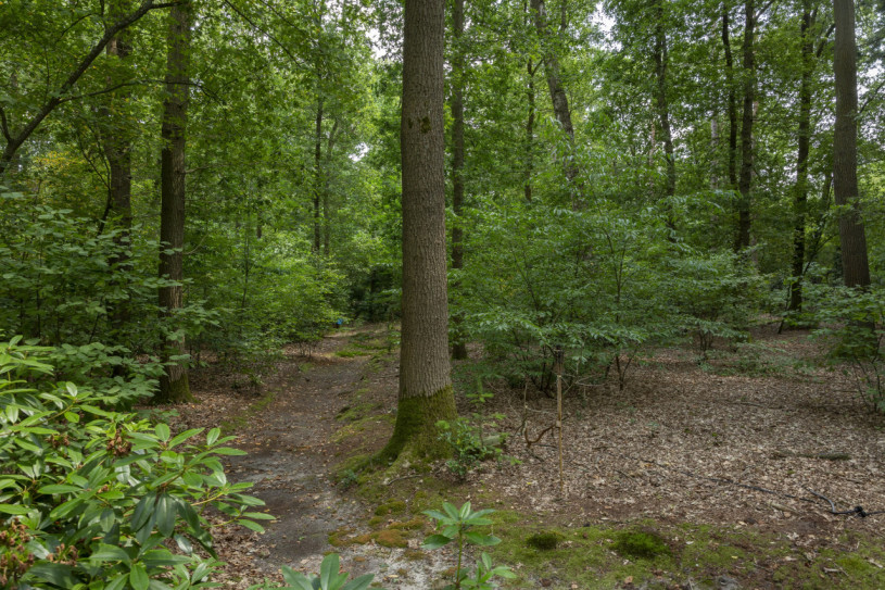 plush74 country villa laren 109