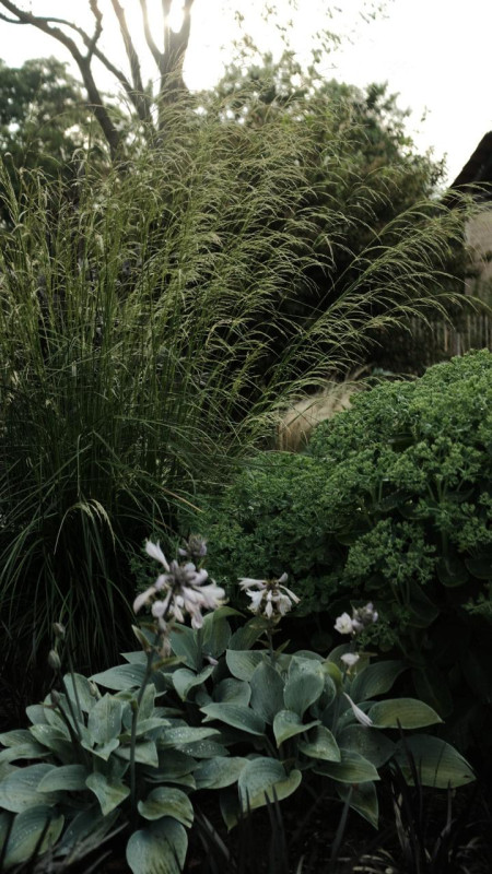 peluche74 campagna serenità uckermark 18(1)