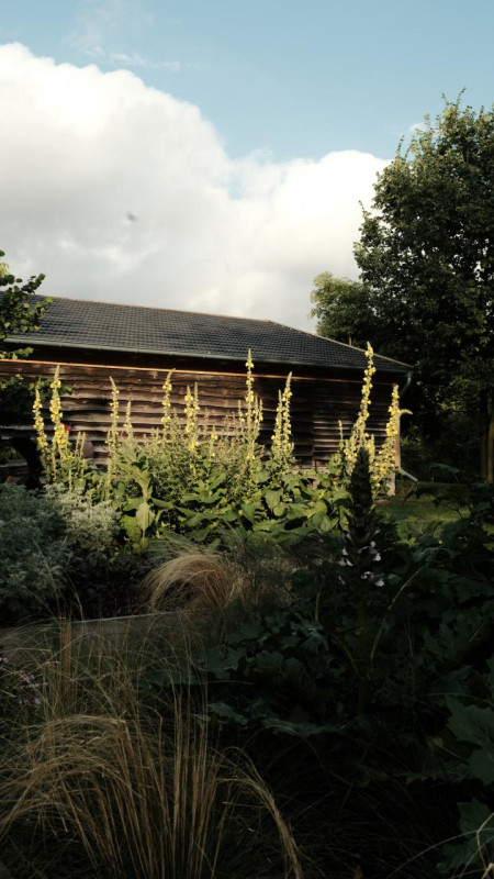 peluche74 campagna serenità uckermark 8(1)