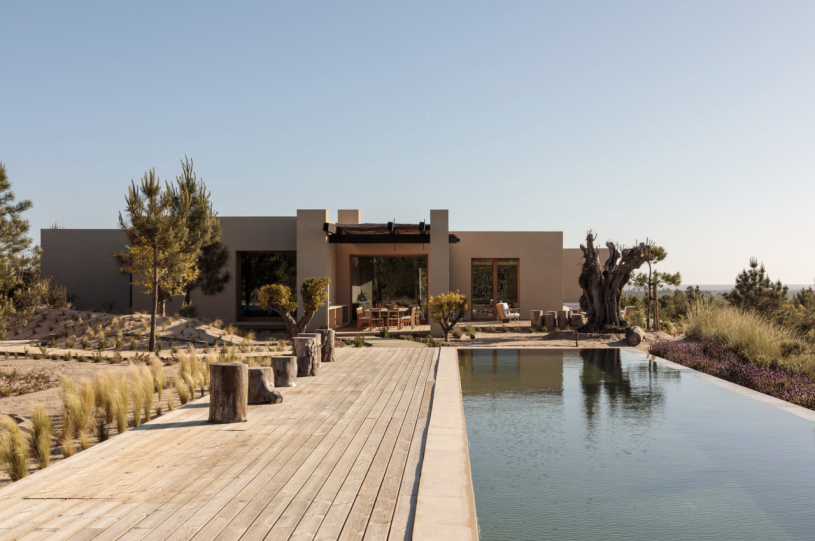 peluche74 comunità creativa portogallo 1