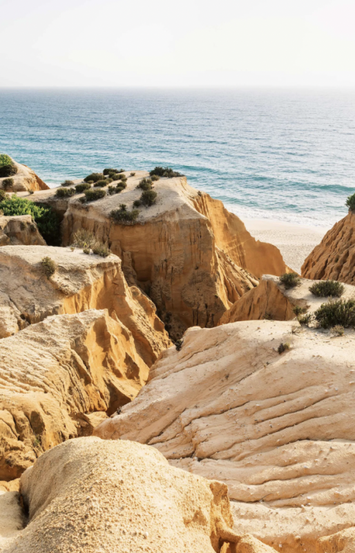 peluche74 comunità creativa portogallo 18