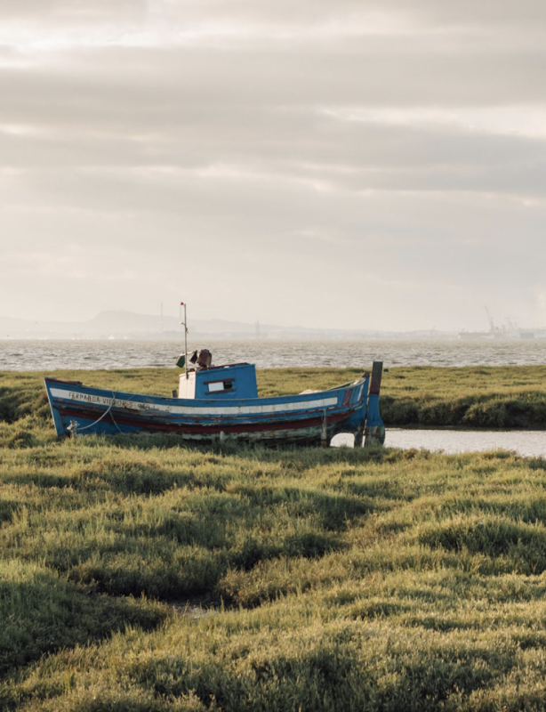 peluche74 comunità creativa portogallo 23