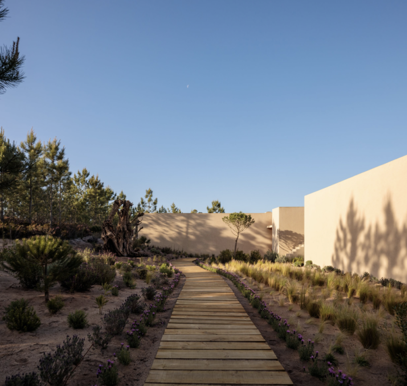 peluche74 comunità creativa portogallo 24