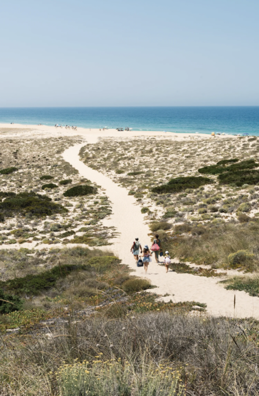 peluche74 comunità creativa portogallo 25