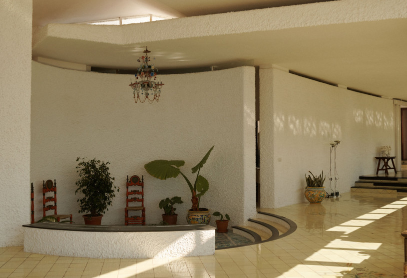 felpa74 damalisco 16(1)