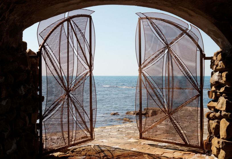 felpa74 damalisco 19(1)