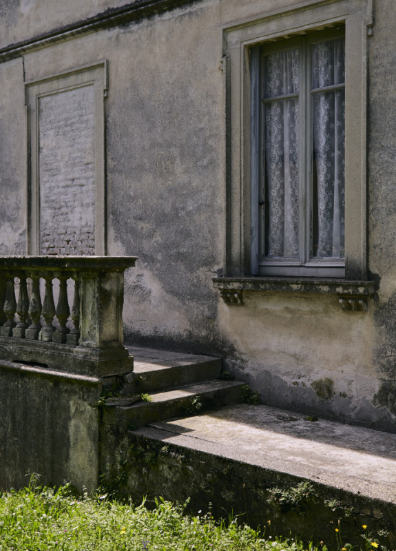 plush74 damalisco 24