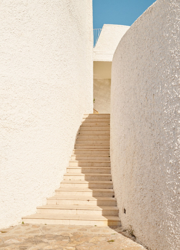 felpa74 damalisco 25(1)