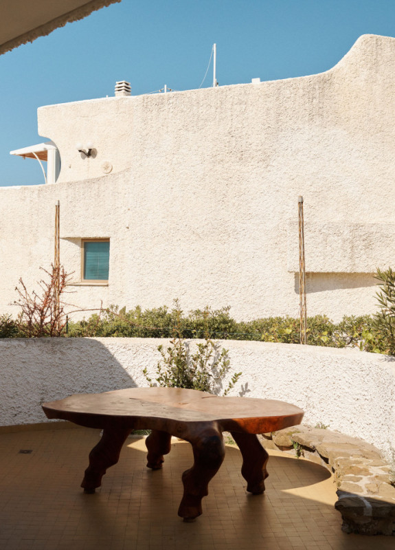 felpa74 damalisco 26(1)