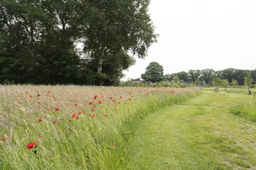 plush74 design studio niederlande 83