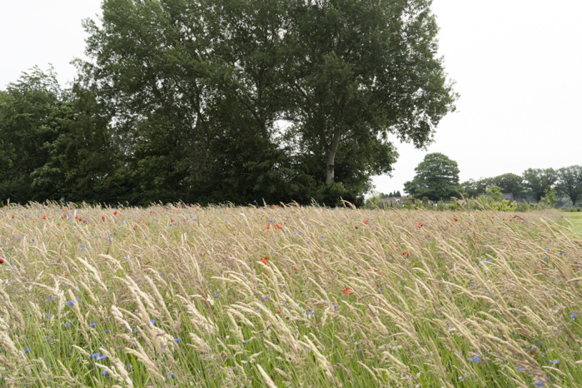 plush74 design studio niederlande 86