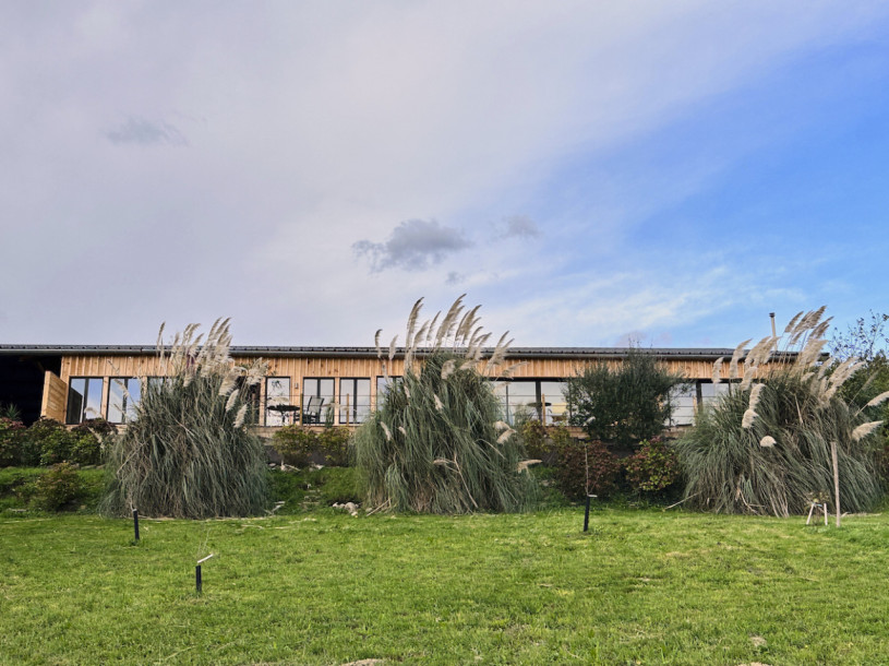 felpa74 dominio baretous 28