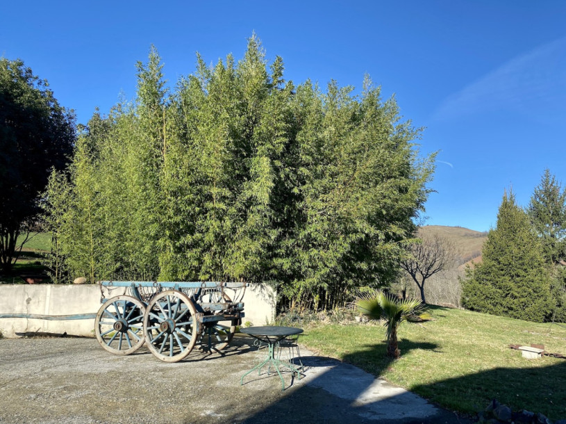 felpa74 dominio baretous 32