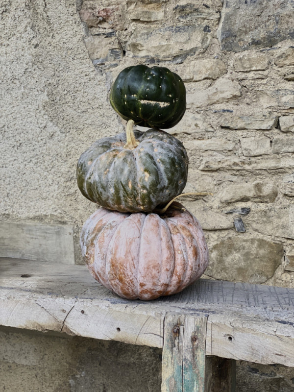 felpa74 dominio baretous 34