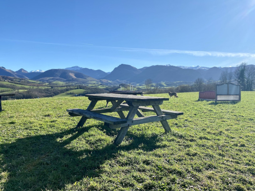 felpa74 dominio baretous 42