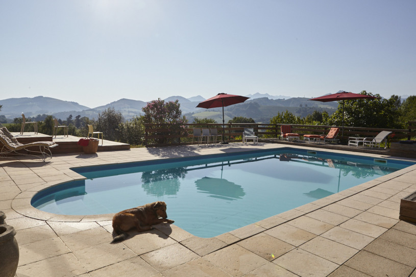 felpa74 dominio baretous 47