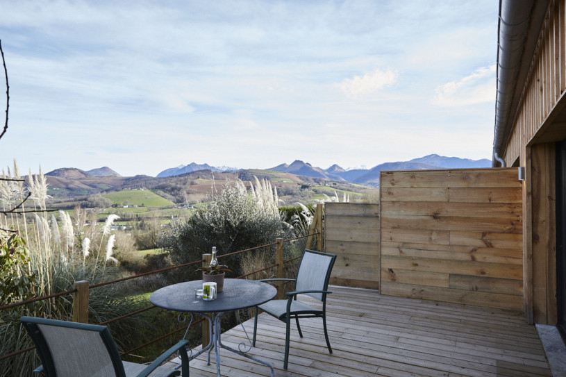 felpa74 dominio baretous 53