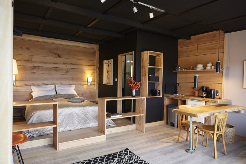 felpa74 dominio baretous 54