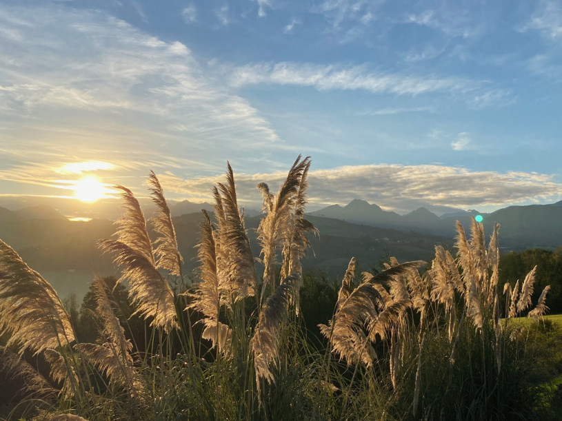 felpa74 dominio baretous 6