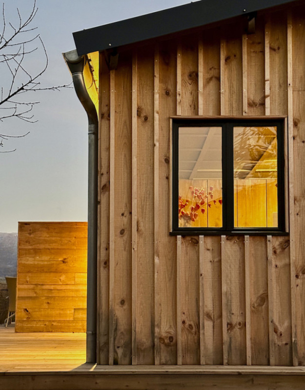 felpa74 dominio baretous 60