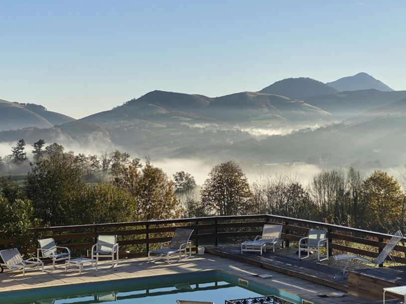 felpa74 dominio baretous 64