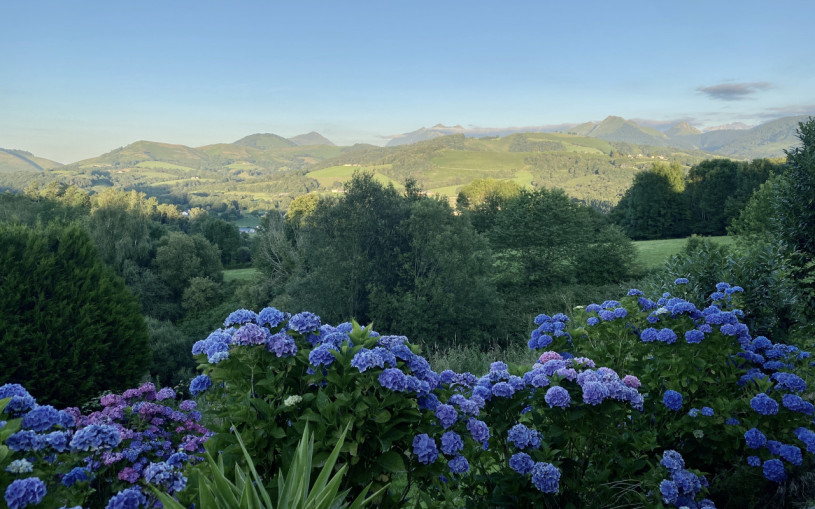 felpa74 dominio baretous 65