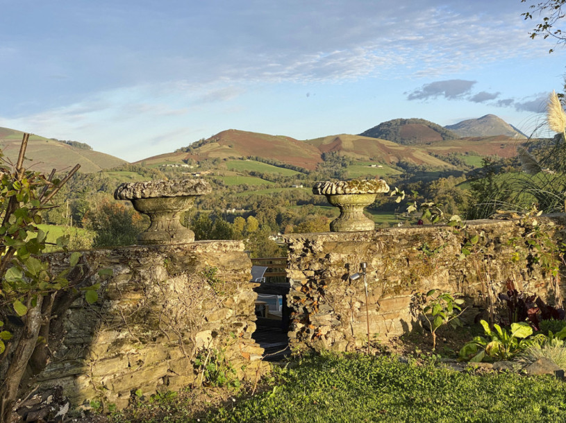 felpa74 dominio baretous 66