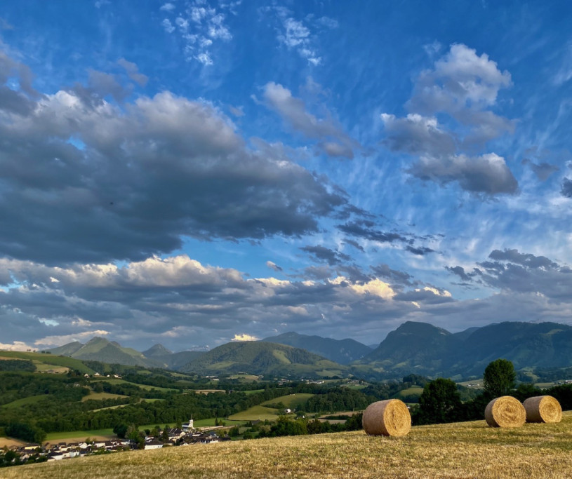 felpa74 dominio baretous 68