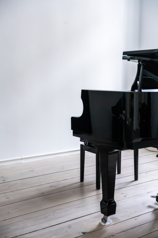 plush74 elegant bw apartment 2