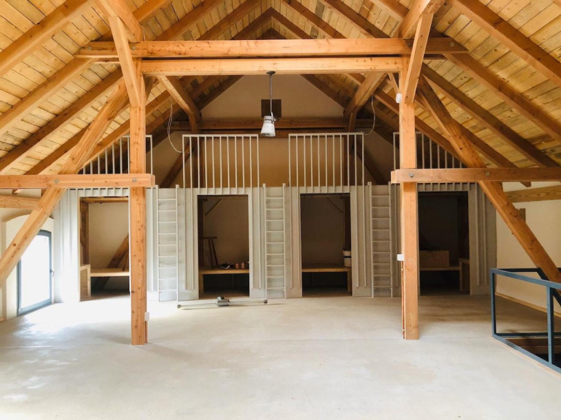 peluche74 película foto lugar del evento berlín alemania 00019