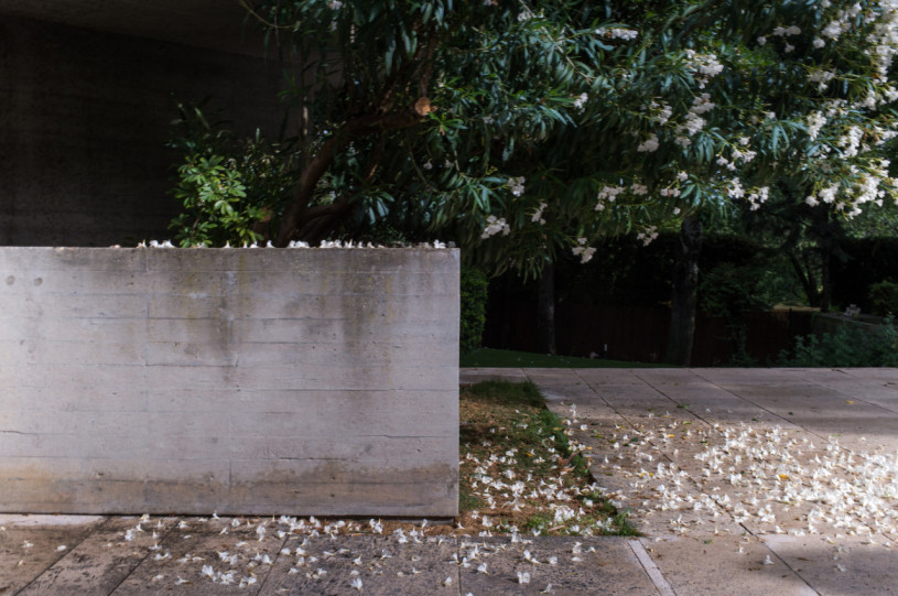 felpa74 película foto evento lugar alemania berlín villa32