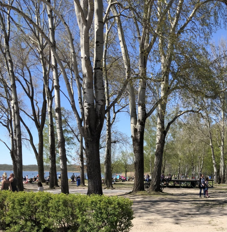 plush74 film photo event location lido lake nature rangsdorf germany82 (2)