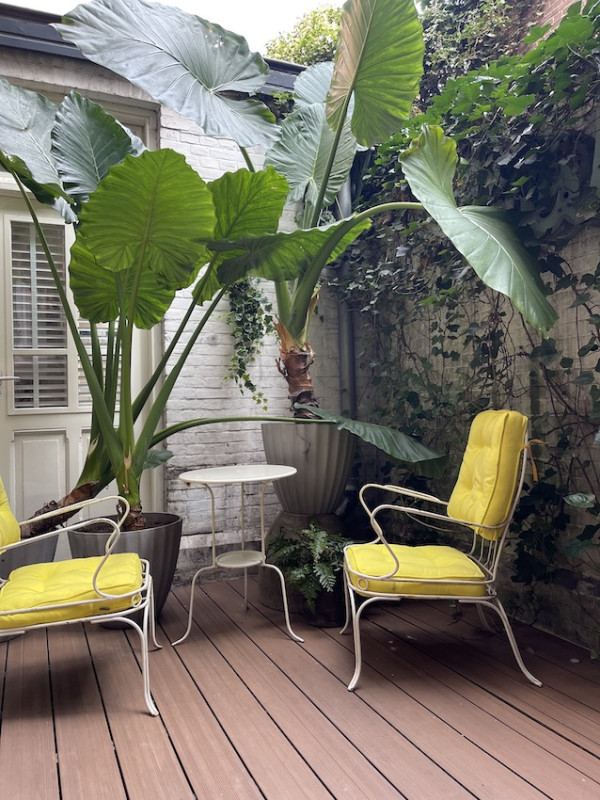 plush74 film photo event location nehterlands amsterdam 12