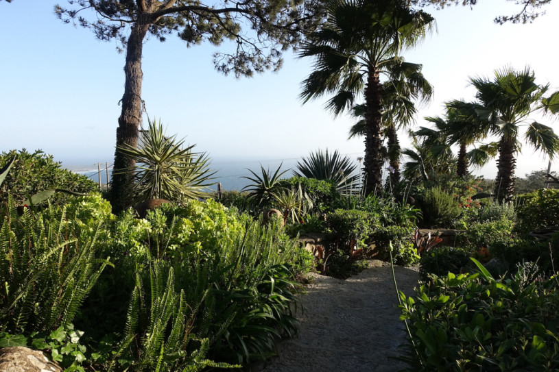 peluche74 film foto evento location portogallo lisbona zona ristorante giardino 4