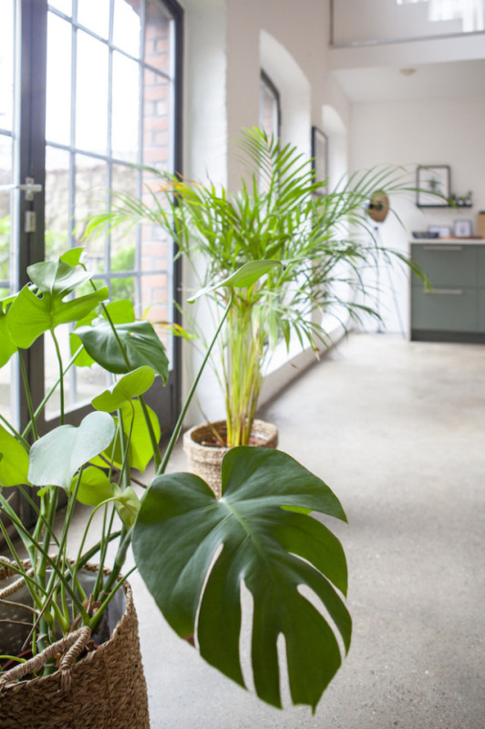 plush74 film photo shooting location scouting berlin event space studio clean hamburg minimalistic9