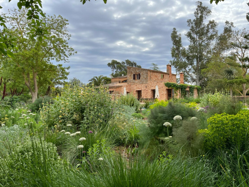 plush74 finca son serra 28