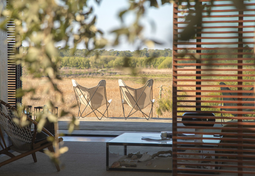 peluche74 ritiro di formosa 12(1)