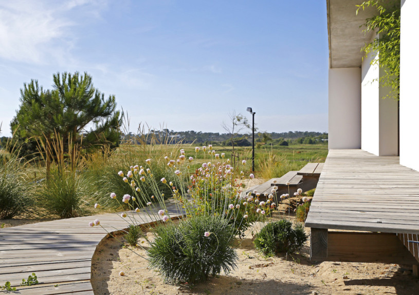 peluche74 ritiro di formosa 13(1)