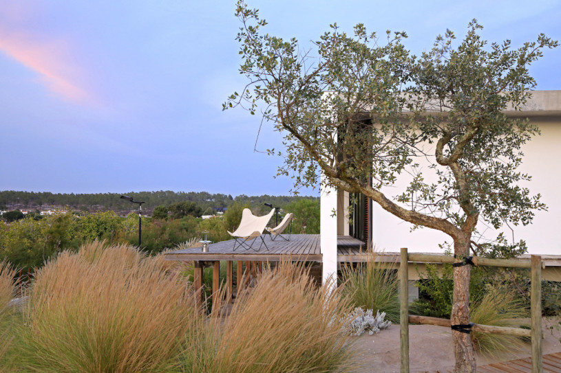 peluche74 ritiro di formosa 15(1)