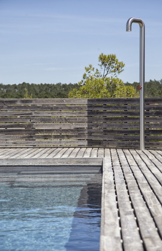 peluche74 ritiro di formosa 20(1)