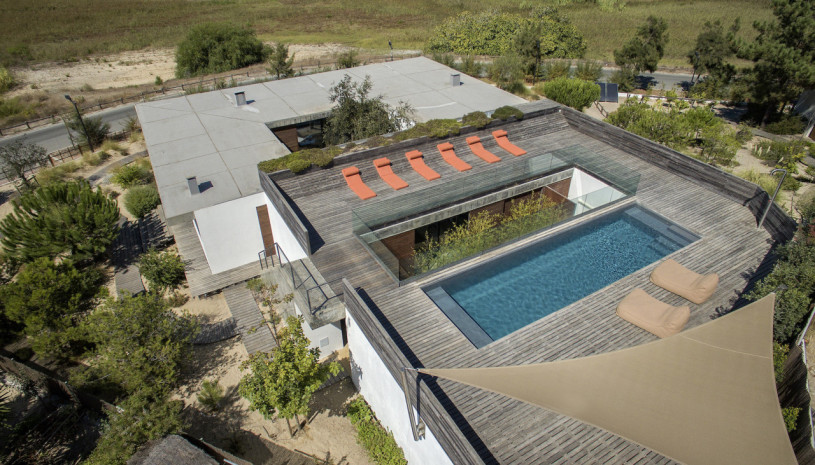 peluche74 ritiro di formosa 21(1)