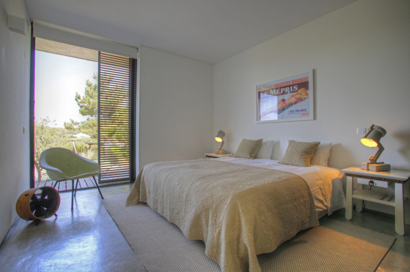 peluche74 ritiro di formosa 29(1)