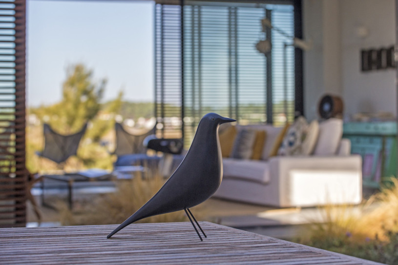 peluche74 ritiro di formosa 30(1)