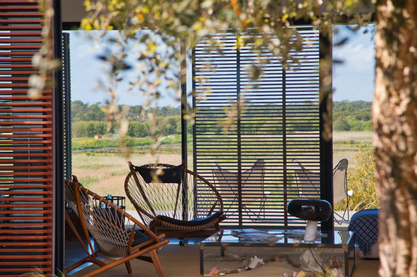 peluche74 ritiro di formosa 32(1)