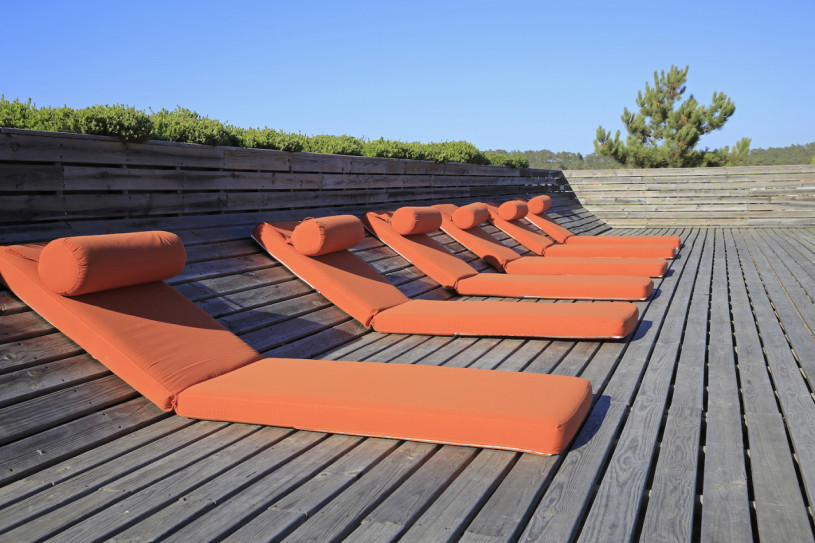 peluche74 ritiro di formosa 37(1)