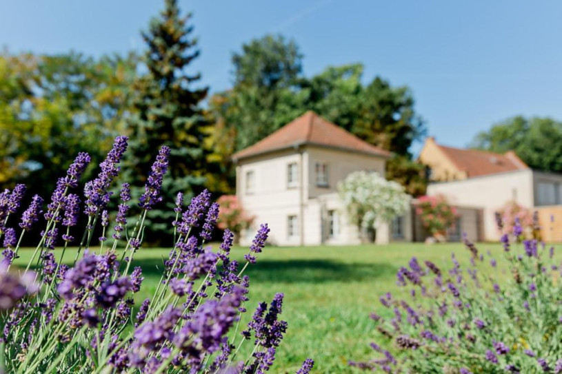 plush74 garden castle 31