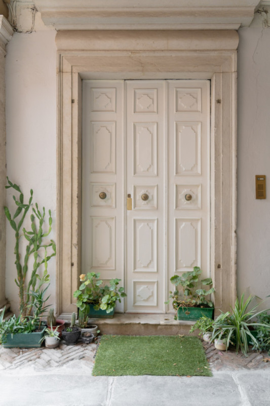 plush74 gattopardo 24