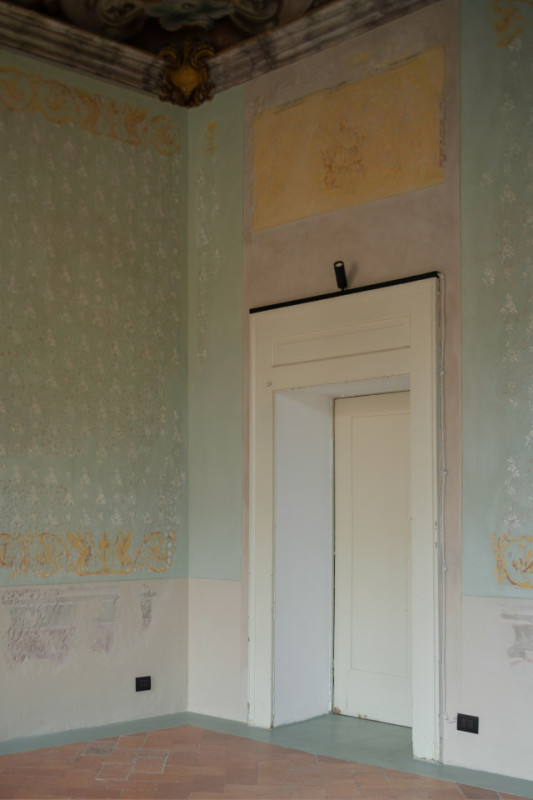 plush74 gattopardo 7