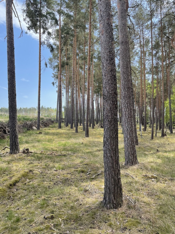 plush74 gravel pit berlin 25 (3)